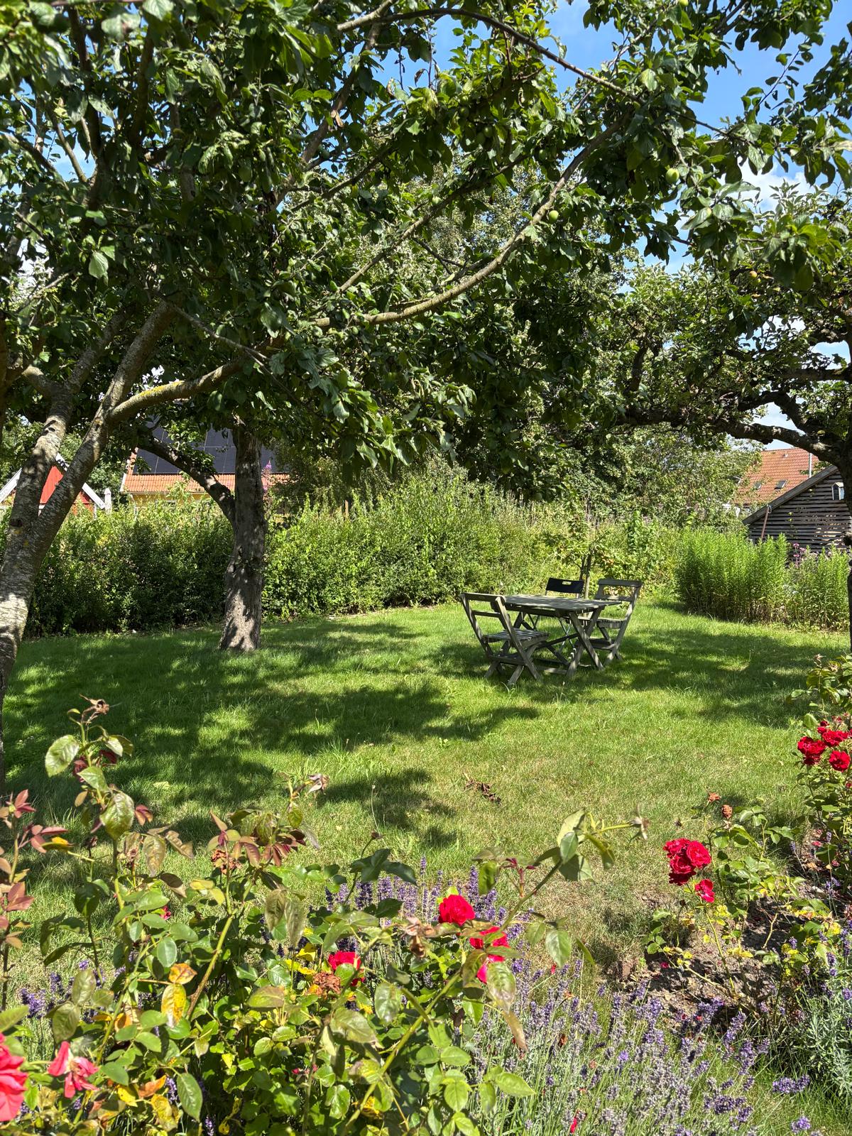 Coming soon: "Rinas's Garden"